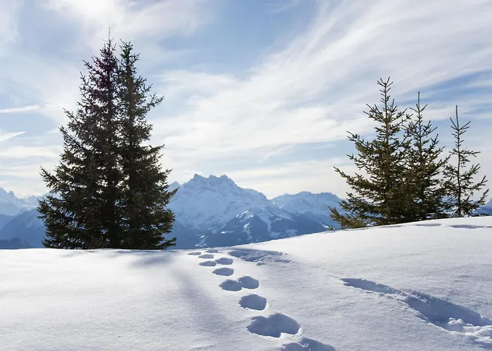 Ambassadeur 15 By Interhome Apartamento *