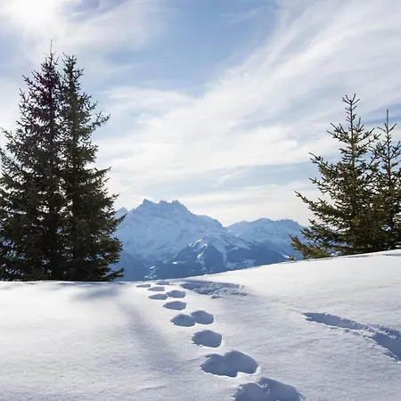 Ambassadeur 15 By Interhome 公寓 *