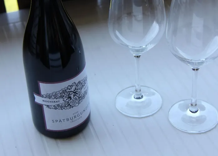 Ambassadeur 15 By Interhome 公寓 *